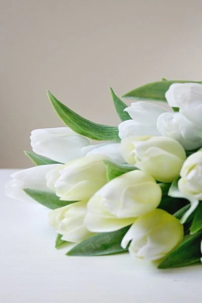 Tulipán bílý krémový 40 cm