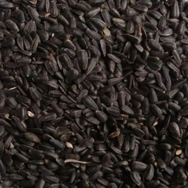 Slunečnice černá - pro ptáčky 1kg