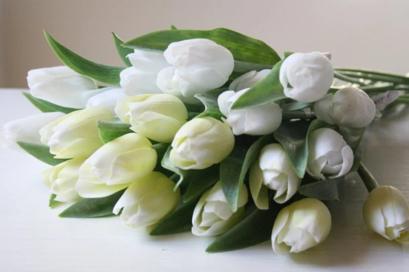 Tulipán bílý krémový 40 cm