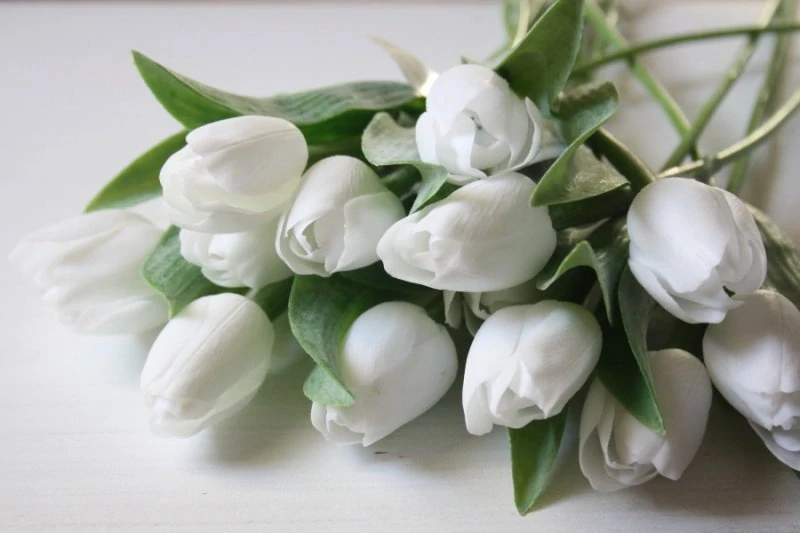 Tulipán sněhové bílý 40 cm