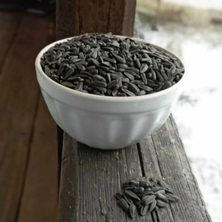 Slunečnice černá - pro ptáčky 1kg